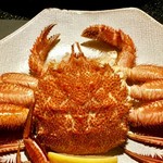 かにと道産料理 雪華亭 - 活毛蟹