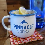 灯 - ピナクル モスコミュール