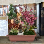 灯 - もうすぐ梅満開