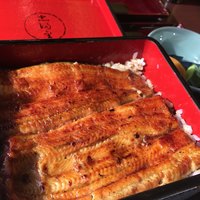 かぐら坂 志満金 - 
