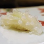 鮨 井上 - 烏賊