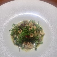 TACUBO - 