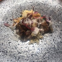 TACUBO - 