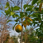 食の円居 なず菜 - 