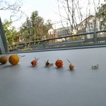 食の円居 なず菜 - 内観