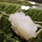 鮨こゝろ - calamari ヤリイカ