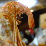 串焼　平さん - 頭からガブリ！