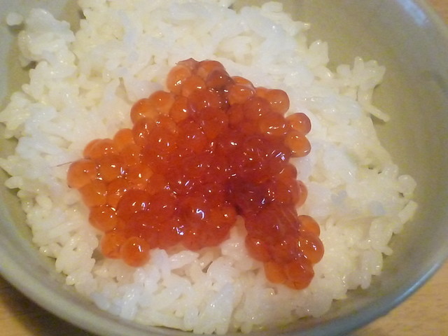 ウロコボシ - 新富士（その他）の写真