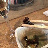 柳家 - 