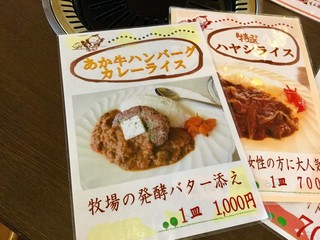 h Juju Hausu - 【あか牛ハンバーグカレーライス ～牧場の発酵バター添え～(1,000円)】私が注文したメニュー