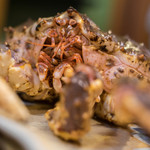 うを徳 - 鱈塲蟹（たらばがに）