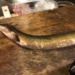 うを徳 - 天然鰻(霞ヶ浦) 1kg