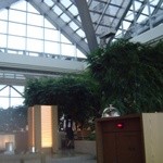 ピーク・ラウンジ - 