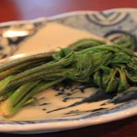 飛騨季節料理 肴 - コシアブラのソテー