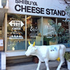 渋谷チーズスタンド