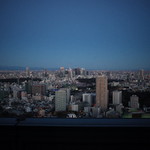 ザ・リッツ・カールトン東京 - 