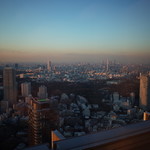 ザ・リッツ・カールトン東京 - 