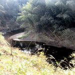 田舎レストランじんべえ - すぐ裏には小糸川！