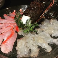 眞か SHINKA - 