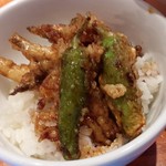 麺屋 六感堂 - わかさぎ天丼（過去の限定）