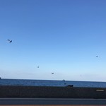 活魚料理 びんび家 - 店の前の風景