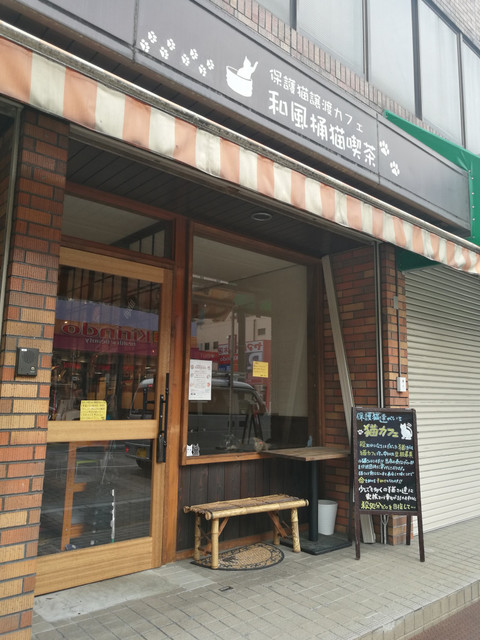 Wafu Oke Neko Kissa photo 5