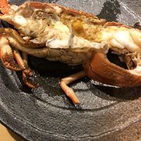 SUSHI TOKYO TEN、 新宿ニュウマン店 - 