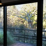 ビストロ ラ ペクニコヴァ - 店内からテラス席を臨む