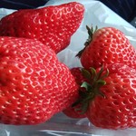 ベリーベリーラボ - 「とちおとめ」