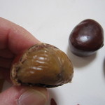 こんな感じです