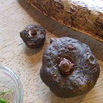 清澄の里 粟 - こんにゃくいも