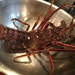 くいしんぼー山中 - ？？？