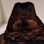 ラ・クロワーゼ - 断面