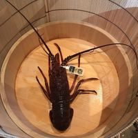 柿安 料亭本店 - 