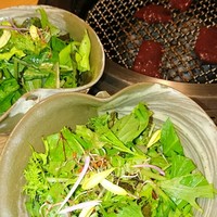 日本焼肉 はせ川 銀座店 - サラダ