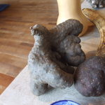 清澄の里 粟 - 仏掌芋さん