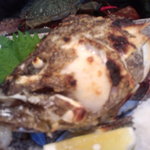 勝しん - 小さいけど繊細、二キロのほんあら