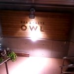 OWL - 