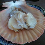 にしわき鮮魚店 - ヒオーギ貝の刺身
