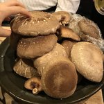 やのまこと - 