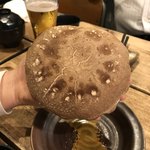 やのまこと - 