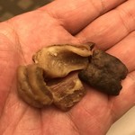 おみやげ街道＋セブンイレブン - せんじ肉の中身