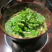 たでの葉 - ひぐまのしゃぶしゃぶ 芹と牛蒡1