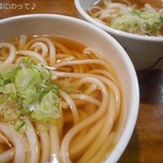 うどん処 やながわ亭 - かけうどん(大盛り)＆かけうどん