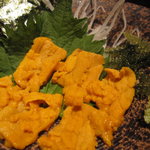 魚心 - 新ウニ 1300円