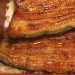 鰻はし本 - 鰻重