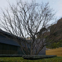 有馬 華暦 エクシブ有馬離宮 - 
