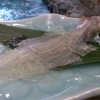 河太郎 中洲本店 - 