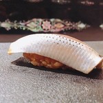 はっこく - 2018.1.  小鰭