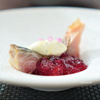 emuN - 真鯖・新のり・西家ゆず胡椒・赤土野菜・鶏節
